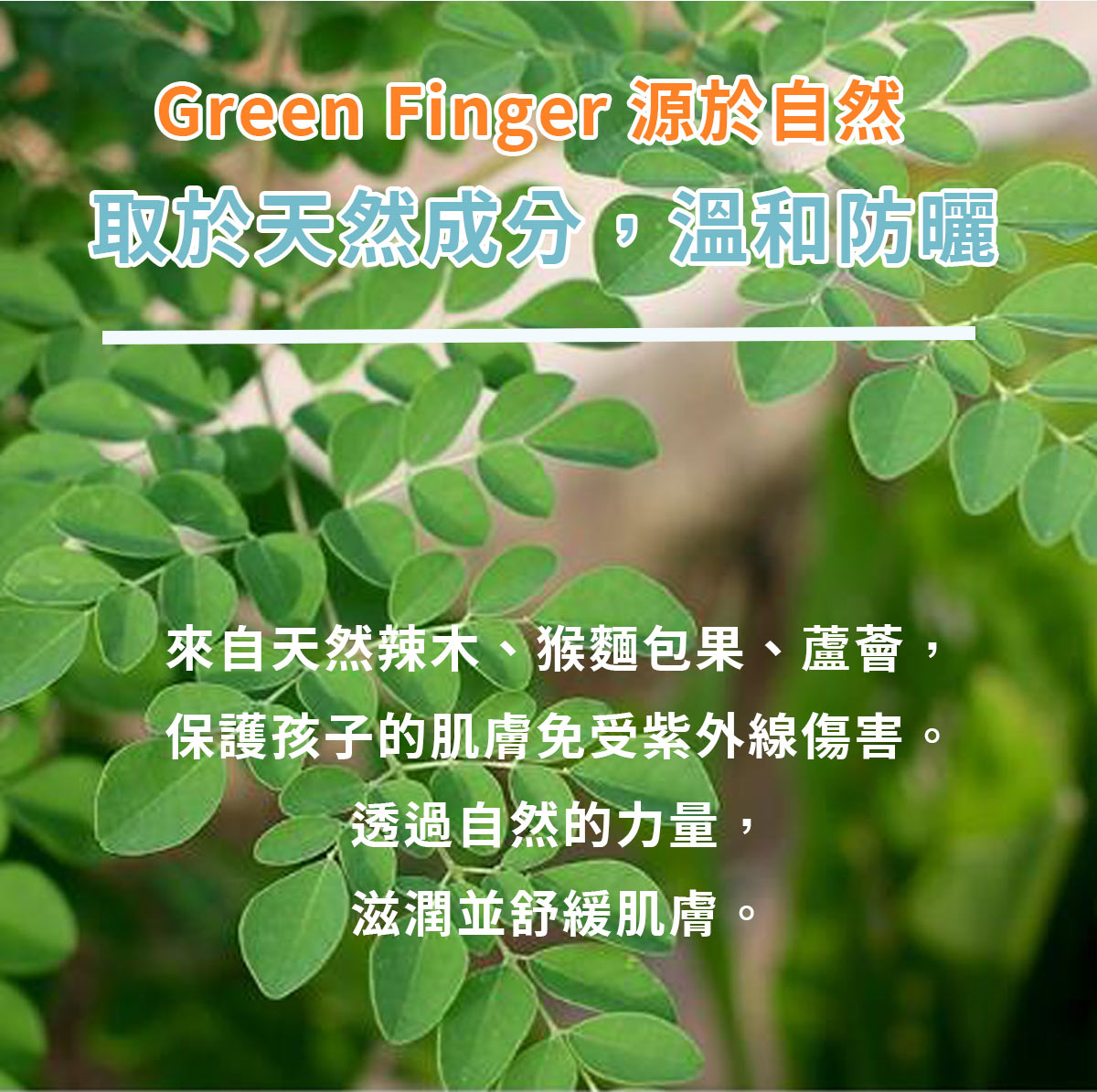 Green Finger Clear Power Shield Sun Stick SPF50+ 14g (Waterproof)