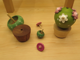 Wooderful life - Potted Plants Spinning Top