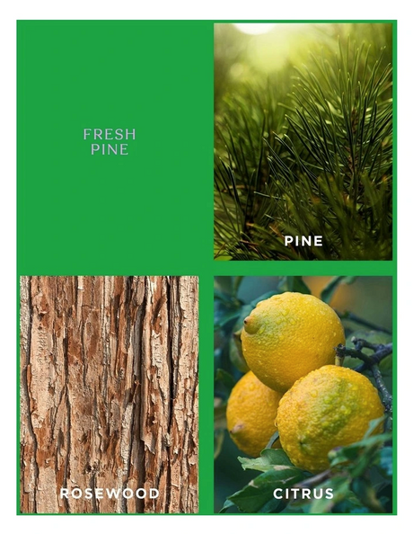 Ecoya - Fresh Pine Mini Diffuser Holiday Collection 50ml