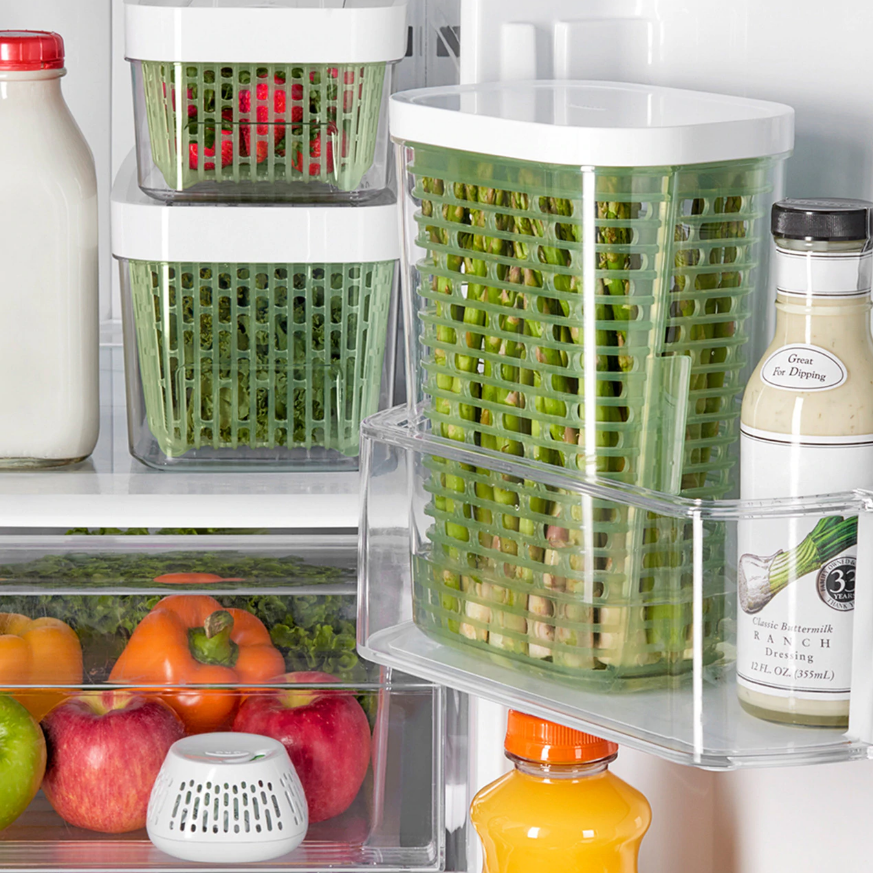 OXO GreenSaver Crisper Insert - 2 pack